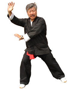  Kungfu Master